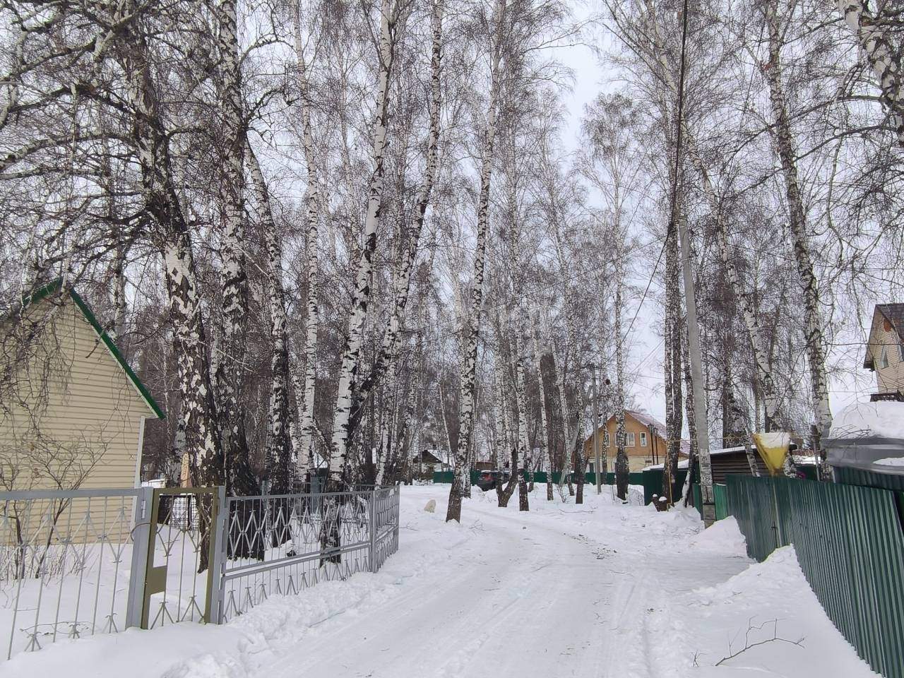 дом г Новосибирск р-н Первомайский ул Березовая фото 21