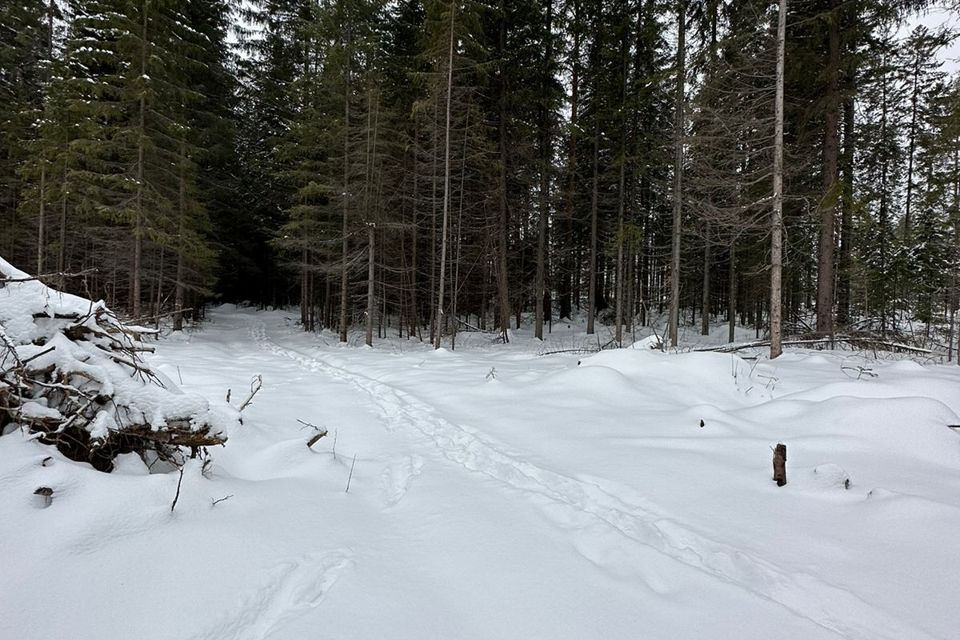 земля городской округ Ревда, село Мариинск фото 2