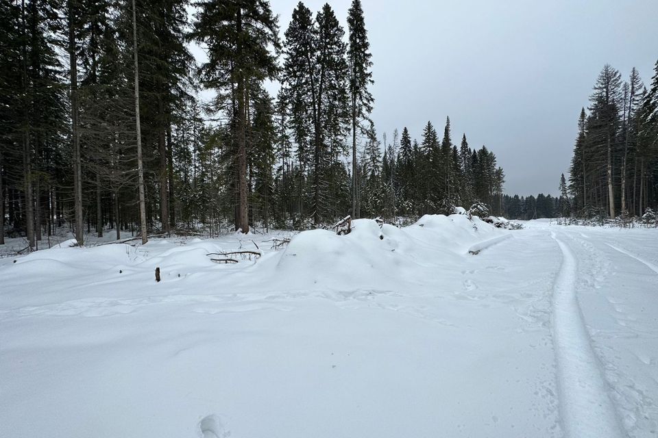 земля городской округ Ревда, село Мариинск фото 3