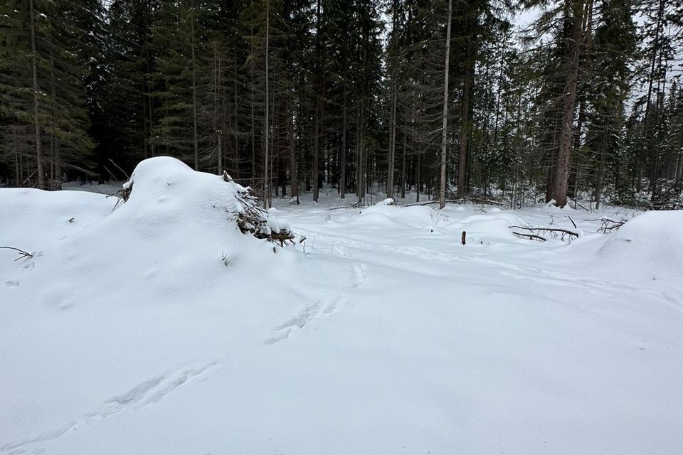 земля городской округ Ревда, село Мариинск фото 5