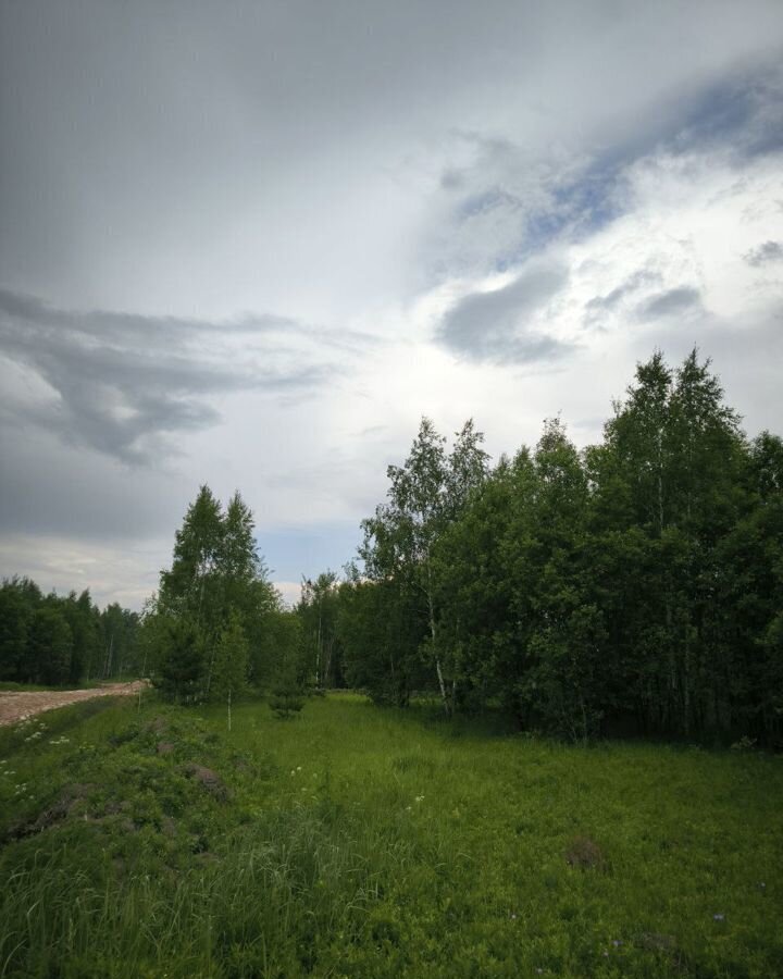 земля городской округ Раменский с Игнатьево Электроизолятор фото 2