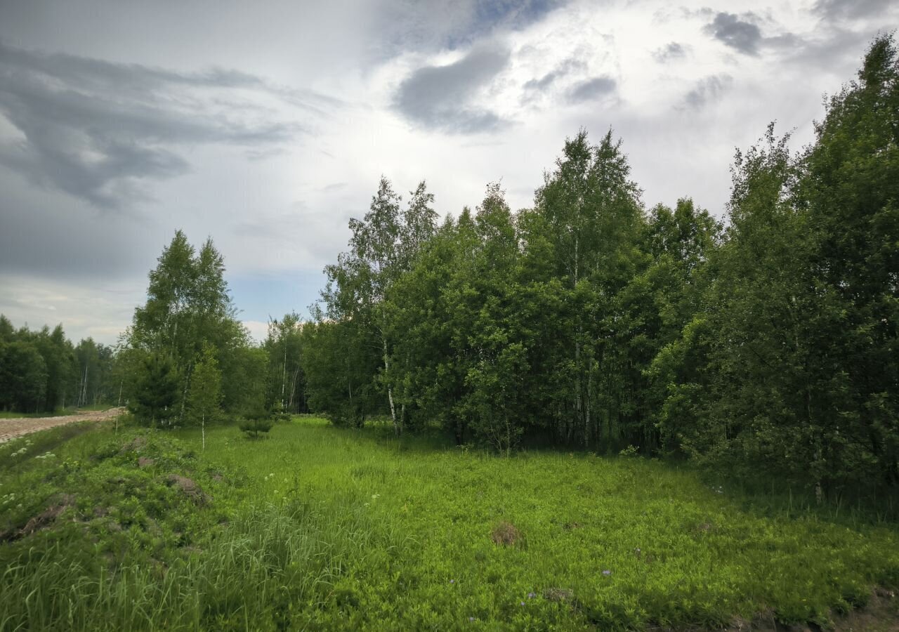 земля городской округ Раменский с Игнатьево Электроизолятор фото 1