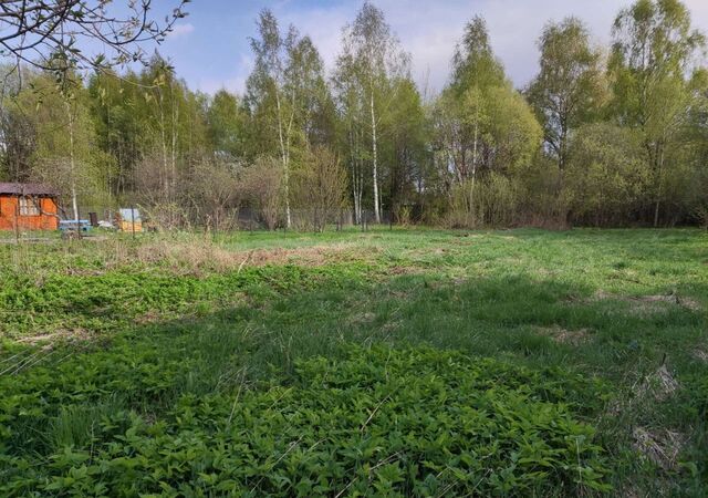 Ильинское сельское поселение, Московская область, Кимрский муниципальный округ, д. Бородино, Дубна фото