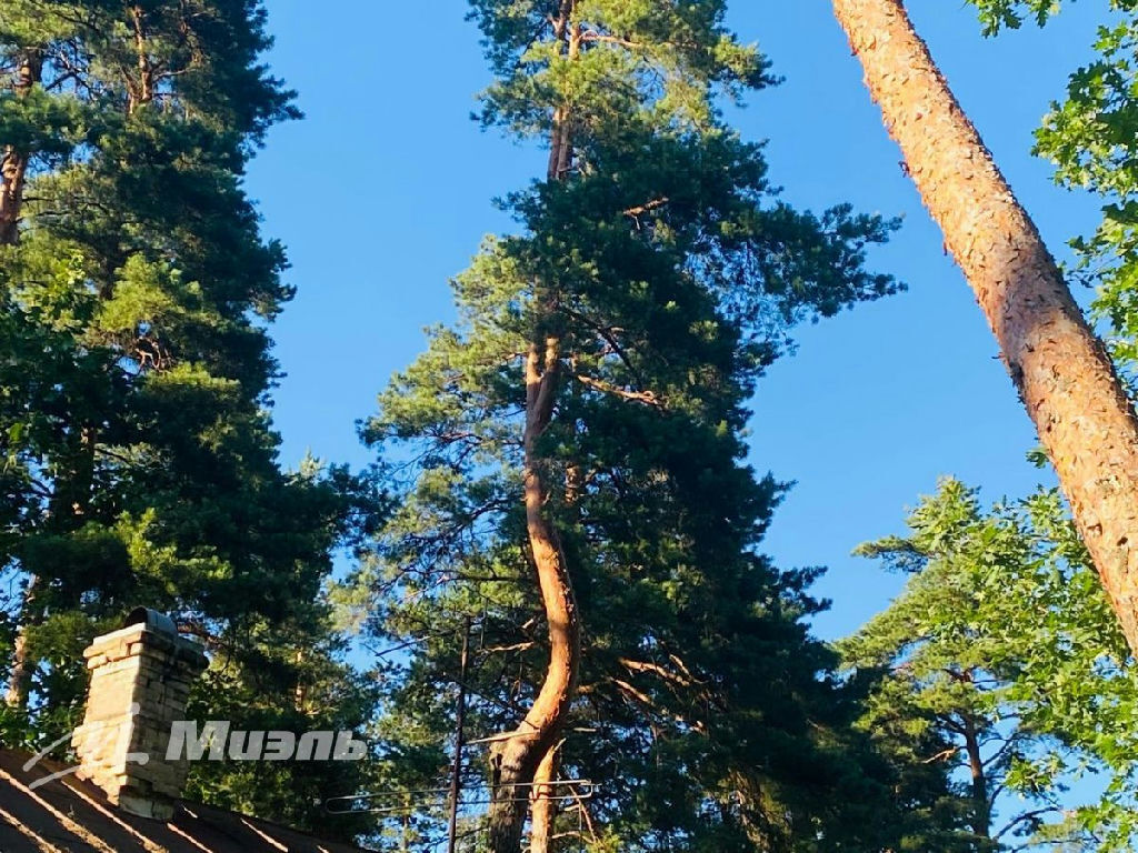 земля городской округ Клин п Чайковского ул., 28, Малаховка пгт фото 8