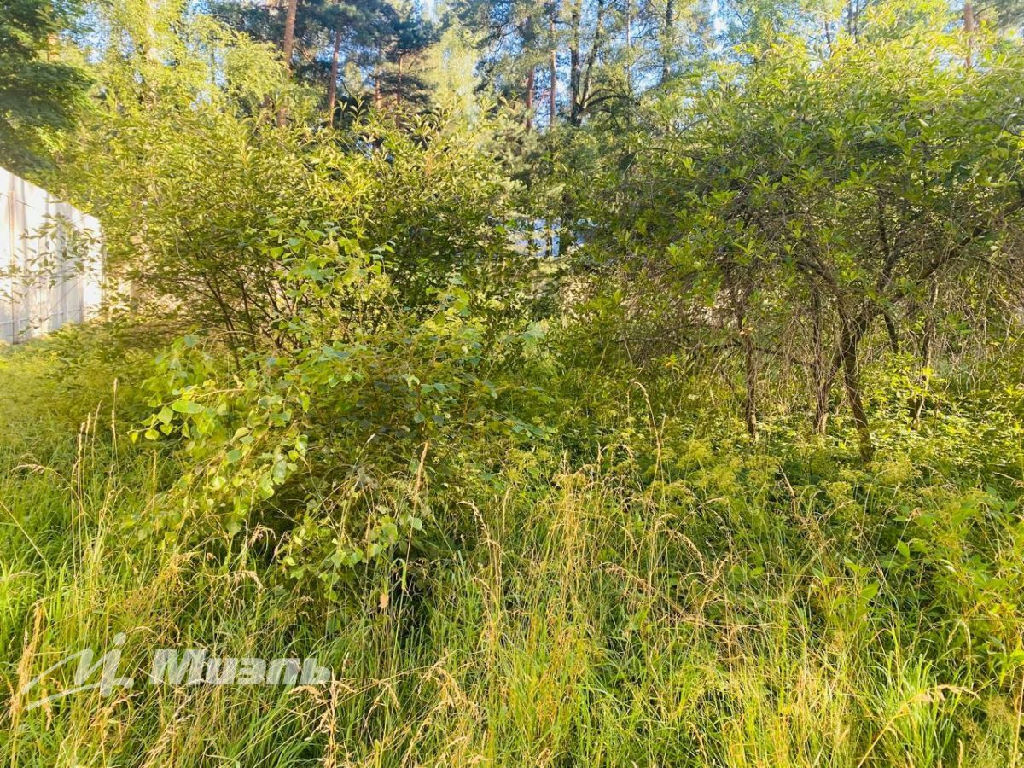 земля городской округ Клин п Чайковского ул., 28, Малаховка пгт фото 9