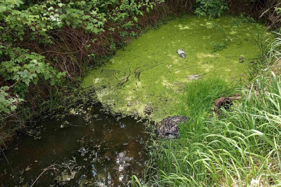 дом городской округ Одинцовский д Захарово 9 фото 3