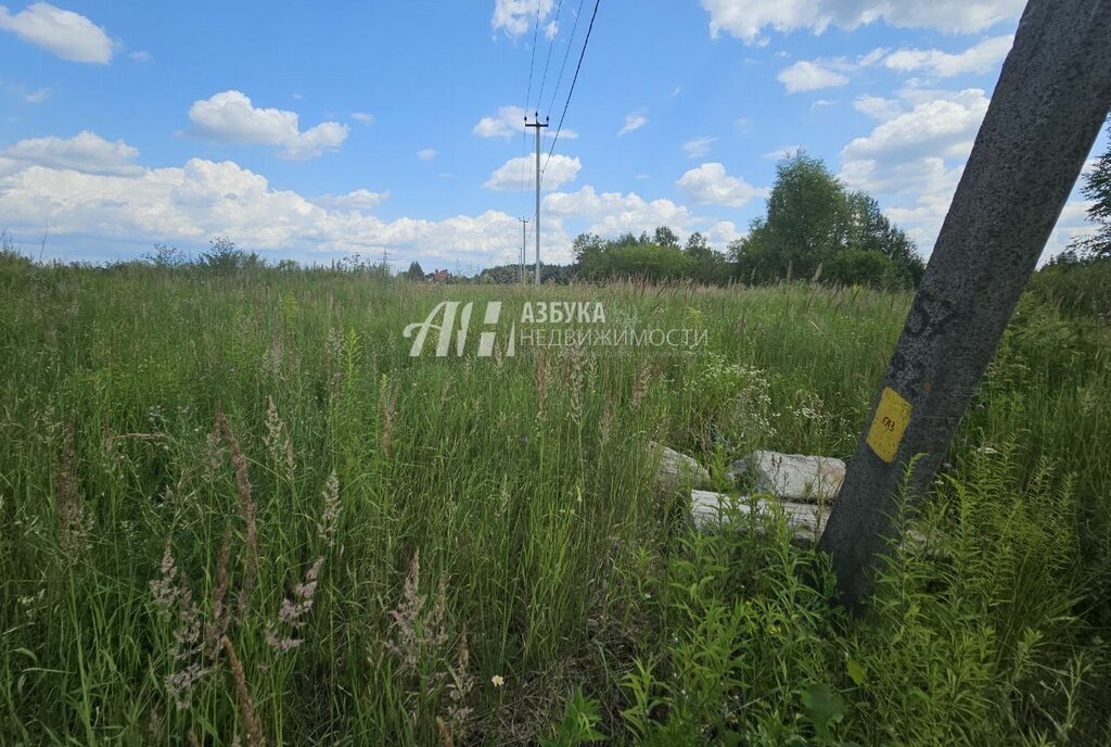 земля городской округ Богородский г Ногинск ул Ново-Богородская фото 3