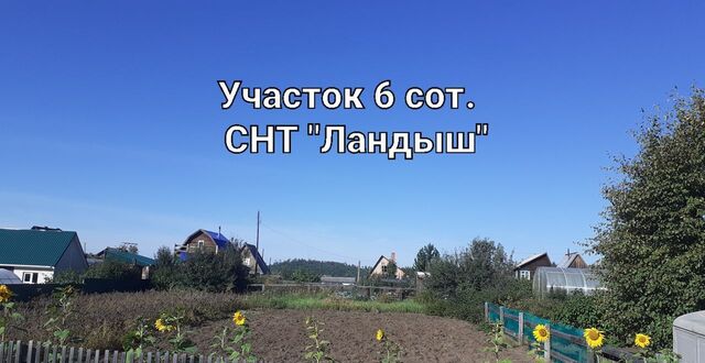 земля снт Ландыш Усть-Илимск фото