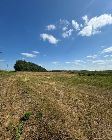 земля ул Большая Чернышевское сельское поселение, Казань фото