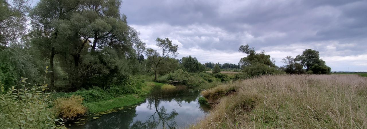 земля городской округ Можайский д Андреевское ул Центральная 14 фото 4