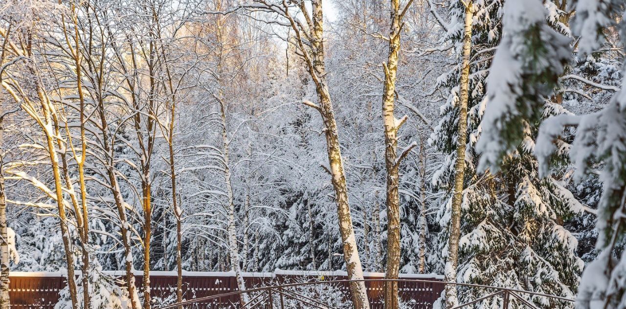 дом городской округ Ступино д Дубечино тер. ТСН Гринвуд 62Н фото 26