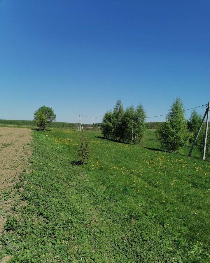 земля городской округ Можайский д Вяземское Можайск фото 3