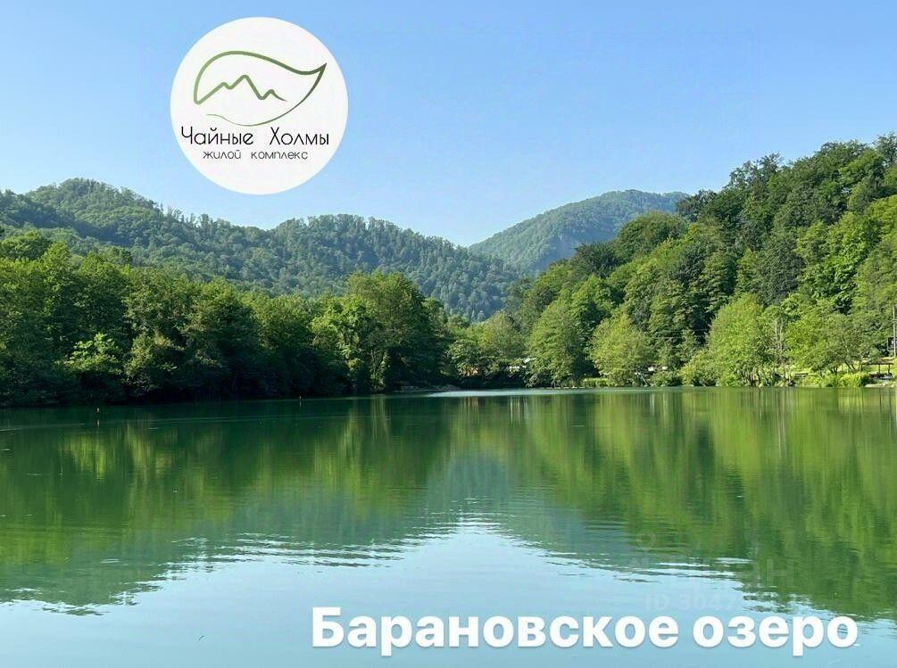 квартира г Сочи ул Российская 26в Дагомыс фото 33