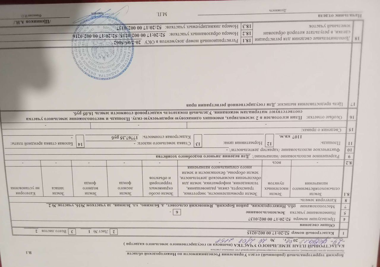 земля г Бор п Память Парижской Коммуны (ППК с/с) ул Зеленая 2 д. Белкино Ямновский сельсовет фото 2