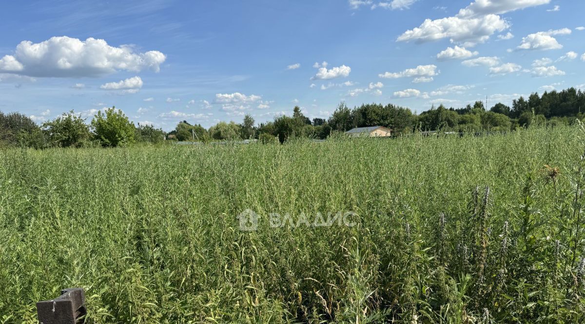 земля городской округ Воскресенск д Ворщиково ул Школьная Ипподром фото 4