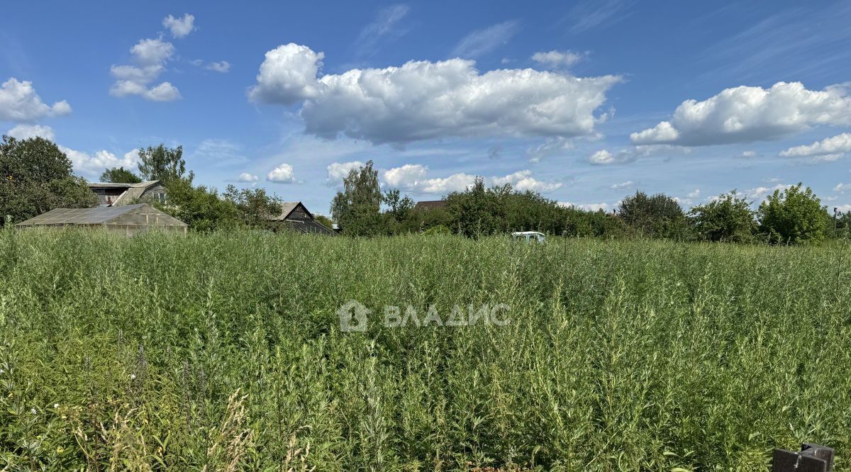 земля городской округ Воскресенск д Ворщиково ул Школьная Ипподром фото 2