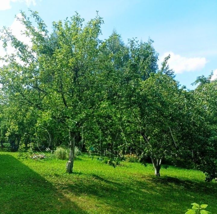 дом р-н Лужский д Островно с пос, 9А, Волошовское фото 27