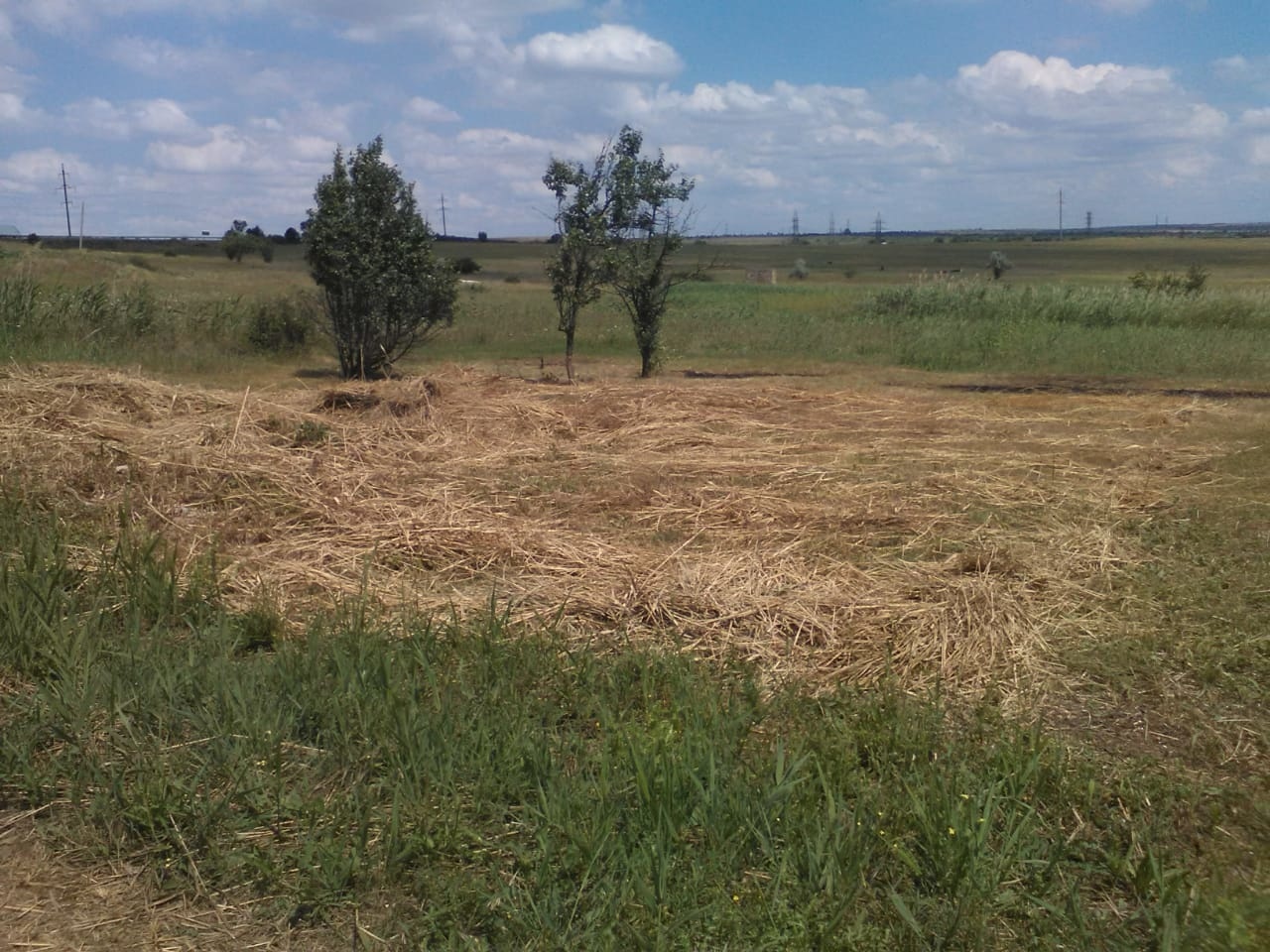 земля р-н Сакский село Орехово фото 1