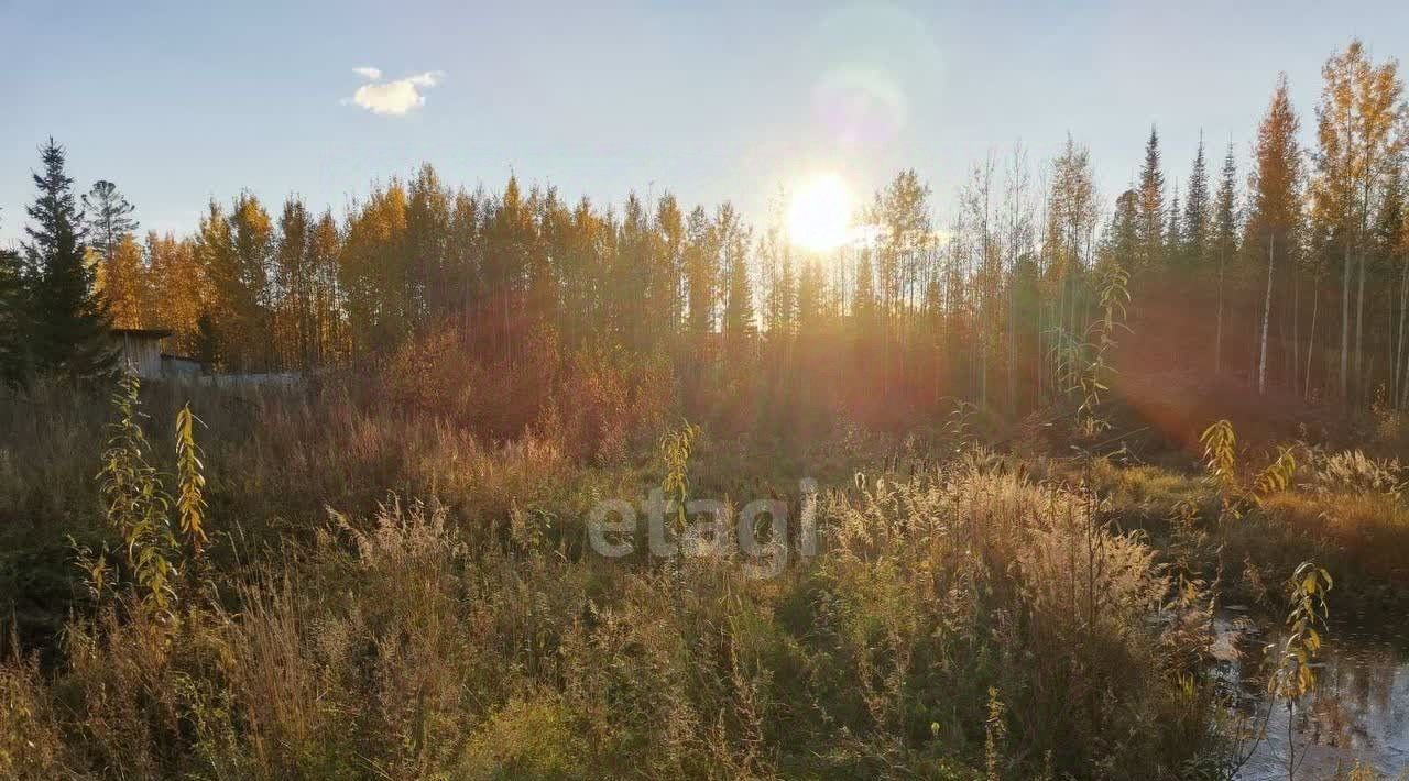 земля г Ханты-Мансийск снт Строитель садово-огороднический кооператив фото 3