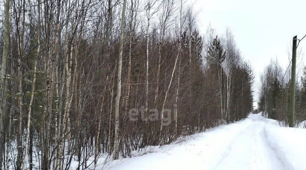 земля г Ханты-Мансийск снт Геофизик-2 СОТ фото 6