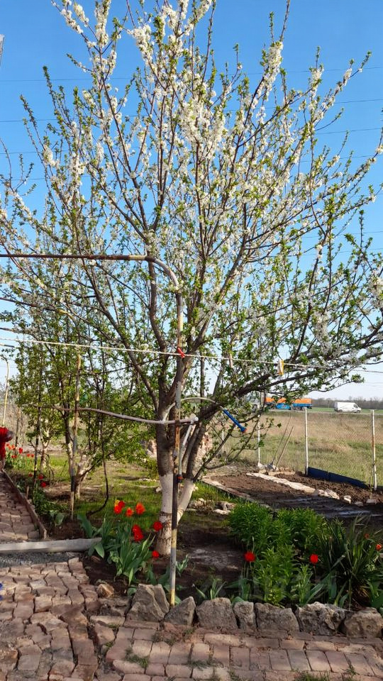 дом г Таганрог Северо-Западный ул Варданяна 5 городской округ Таганрог, Таганрог фото 2