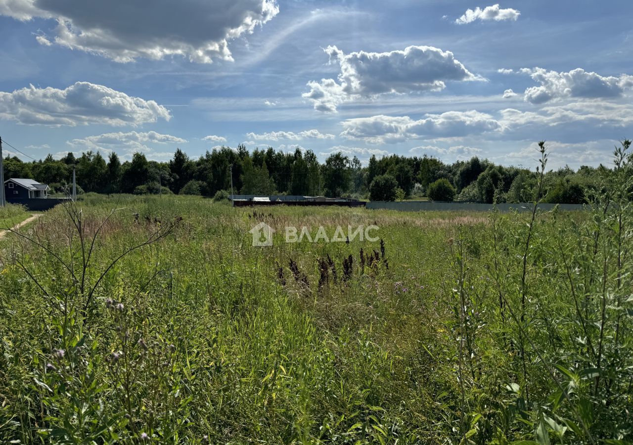 земля городской округ Воскресенск д Ворщиково ул Школьная Раменское фото 7