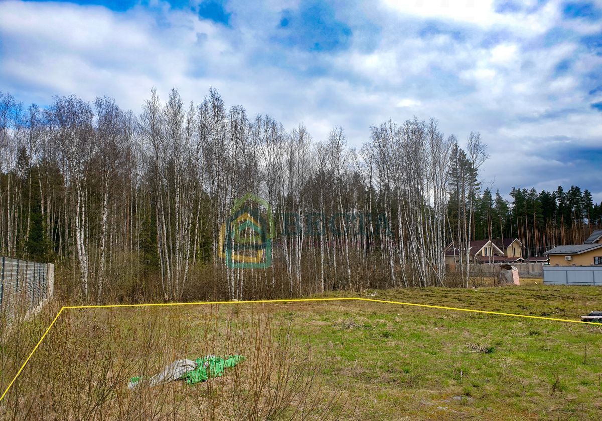 земля р-н Всеволожский массив Белоостров снт Осинка Сертоловское городское поселение, 324, Санкт-Петербург фото 7