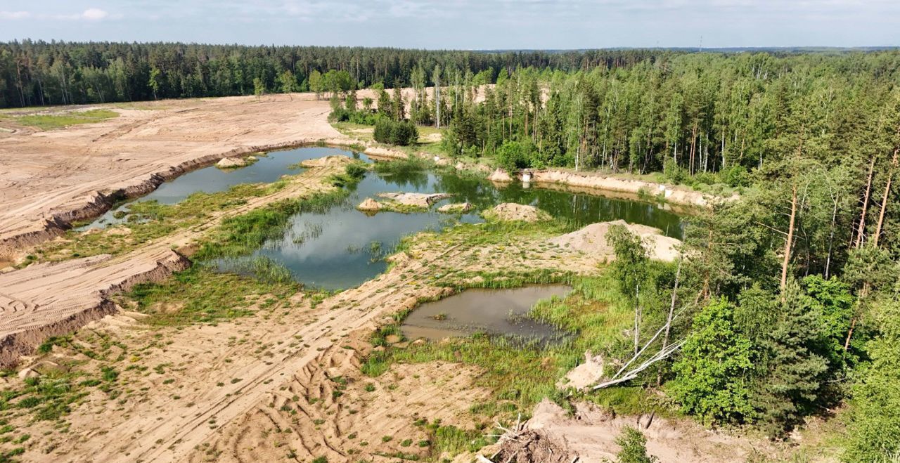 земля городской округ Богородский г Электроугли мкр Светлый фото 4