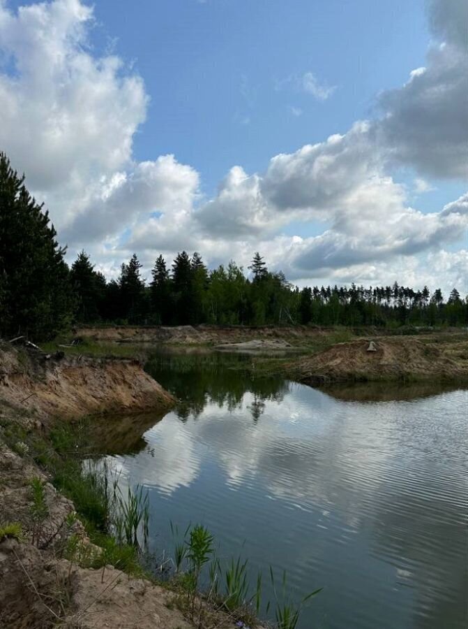 земля городской округ Богородский г Электроугли мкр Светлый фото 9