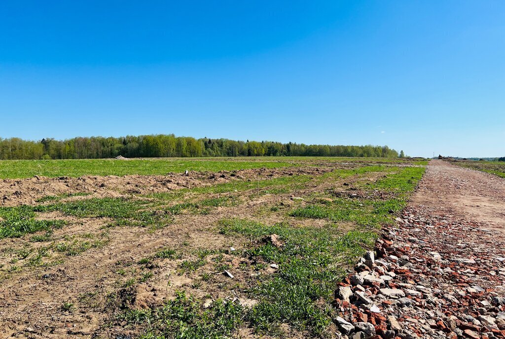 земля г Воскресенск снт Ёлочка городской округ Истра фото 8