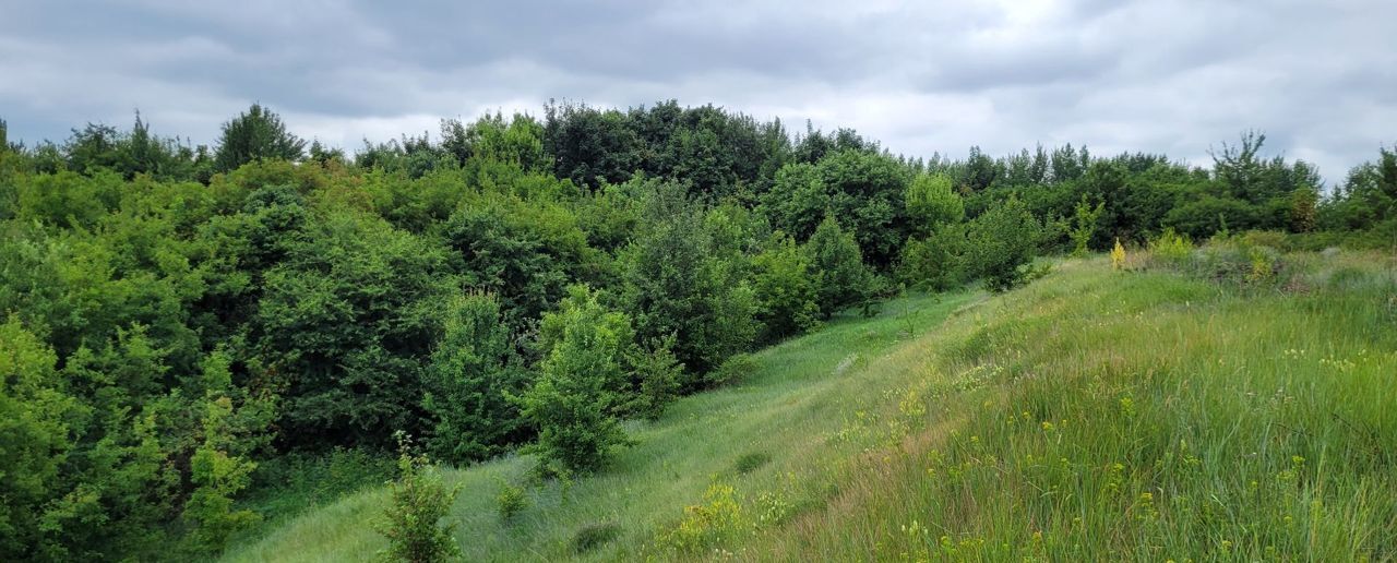 земля р-н Хохольский Хохольское городское поселение фото 8