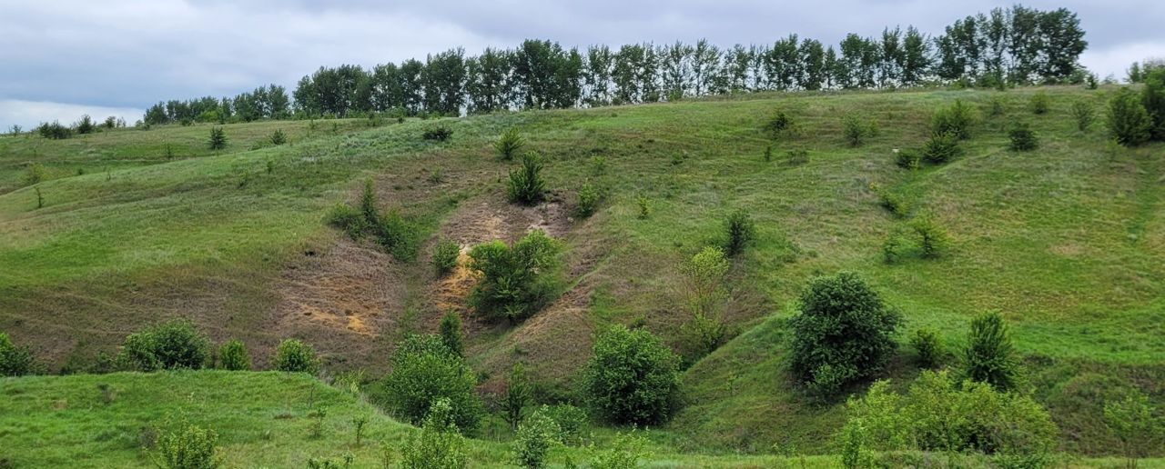 земля р-н Хохольский Хохольское городское поселение фото 32