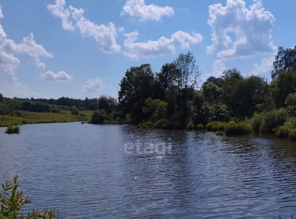 земля р-н Ленинский д Горюшино ул Центральная 2 Тула фото 7