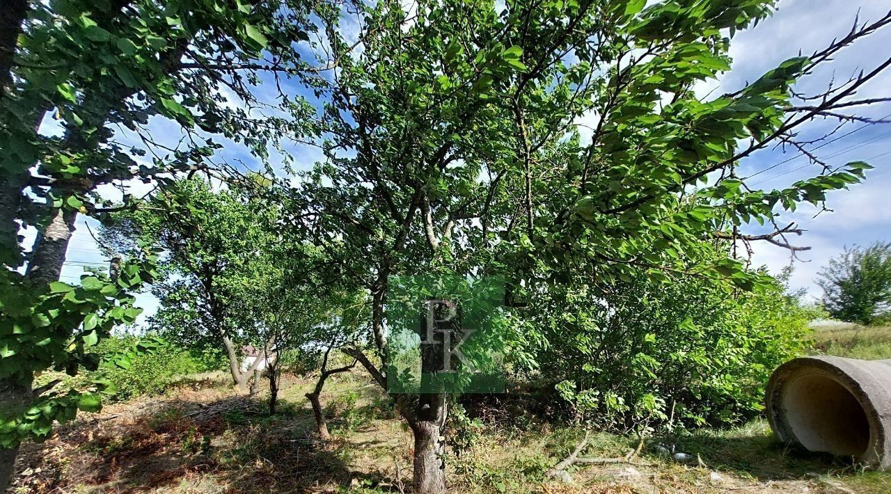 земля р-н Симферопольский с Трехпрудное снт Родничок с пос, Чистенское фото 1