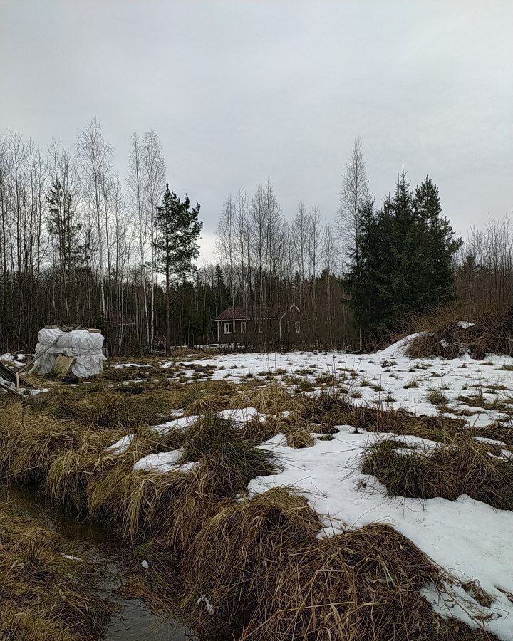 дом р-н Кировский г Отрадное Отрадненское городское поселение, ТВЛПХ Деревня Львовские лужки, Ленинградская ул., 47 фото 4