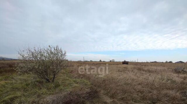 снт Донское Ольгинское с/пос, садоводческое товарищество, ул. Главная фото