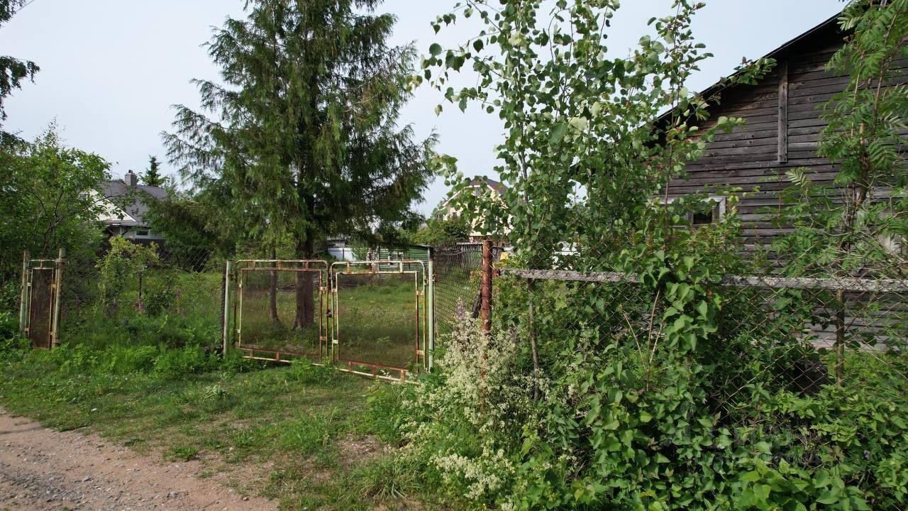 земля р-н Всеволожский снт Белоостров Санкт-Петербург, Курортный район, Дорога 13 фото 3