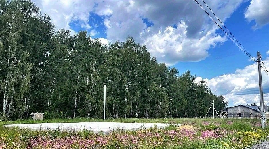 земля городской округ Сергиево-Посадский с Новосёлки фото 3