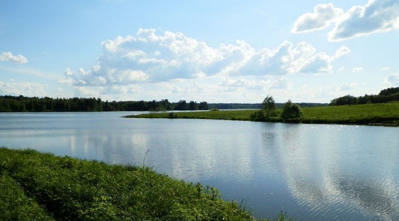 земля городской округ Шаховская д Дор КП Дорино ДНП фото 2