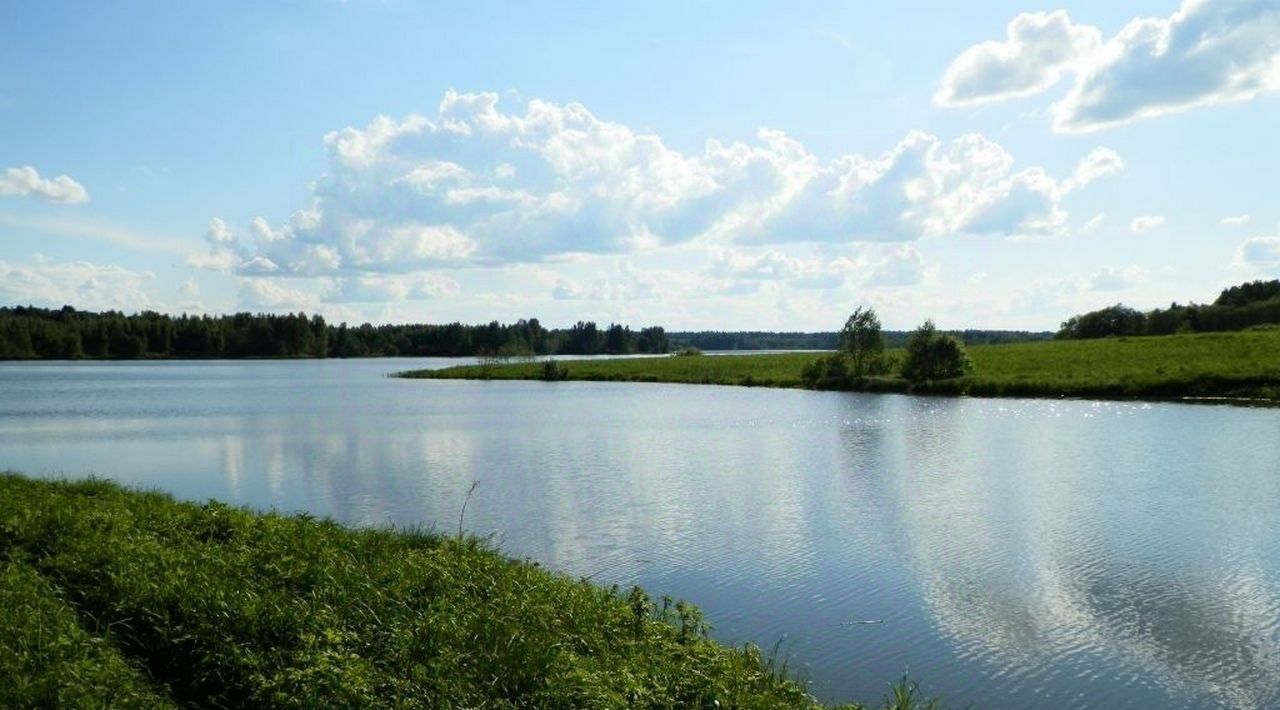 земля городской округ Шаховская д Дор КП Дорино ДНП фото 8