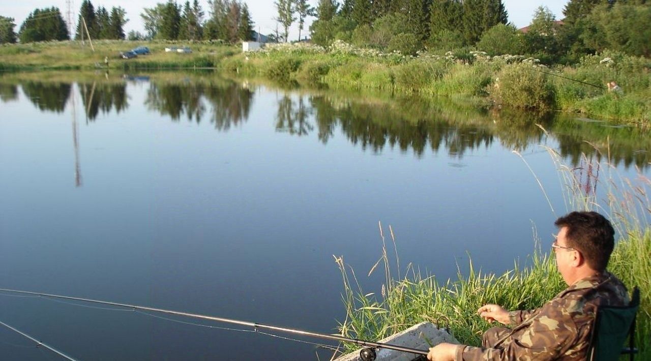 земля городской округ Шаховская д Дор КП Дорино ДНП фото 16