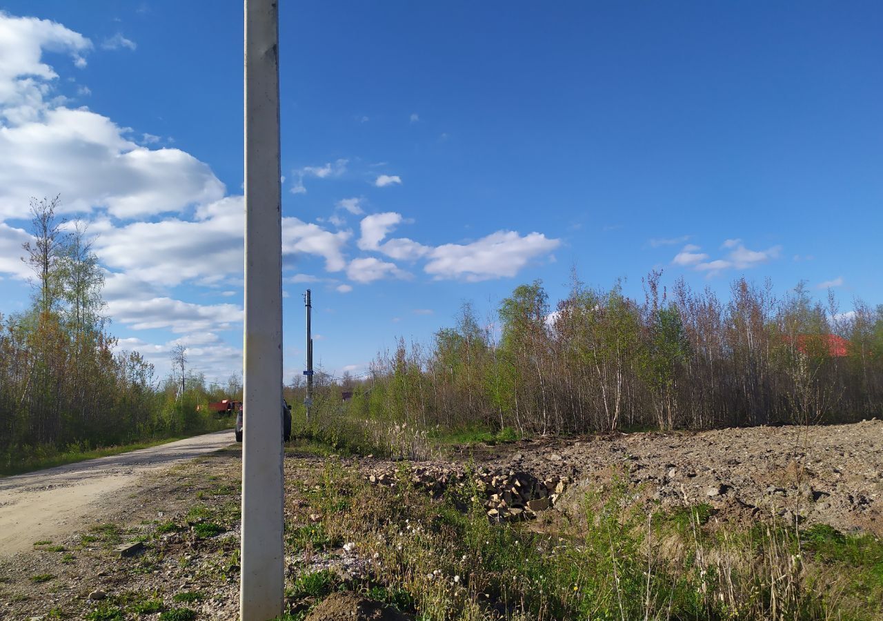 земля р-н Новгородский д Новая Мельница ул Жукова Ермолинское сельское поселение, Панковка фото 8