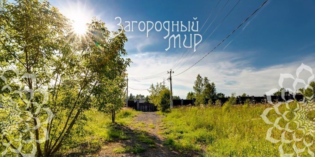 дом городской округ Солнечногорск д Трусово фото 30