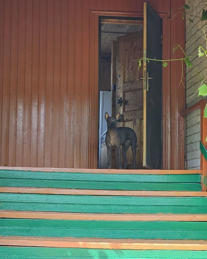 дом городской округ Сергиево-Посадский д Малинки снт Дубравы-1 79 км, 1/19, Богородское, Ярославское шоссе фото 7