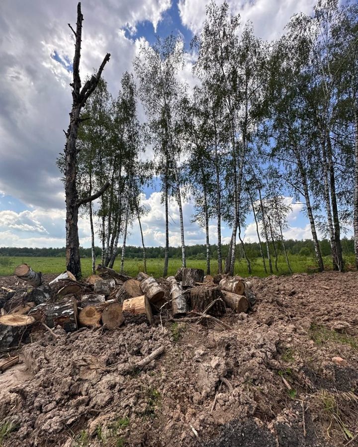 земля городской округ Раменский д Прудки ул Новая Володарского фото 7