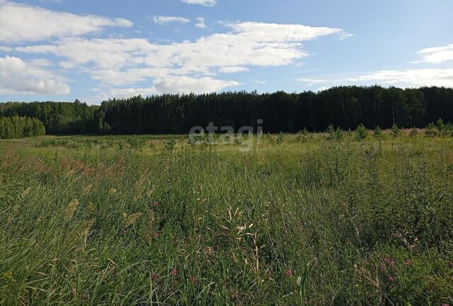 тер автодорога Челябинск-аэропорт 16-й километр фото