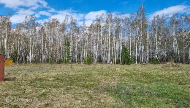 коттеджный посёлок Васильково фото