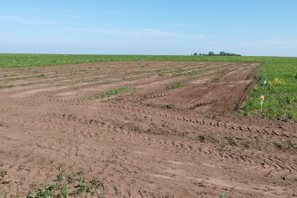 земля р-н Старомайнский село Кремёнки фото 4