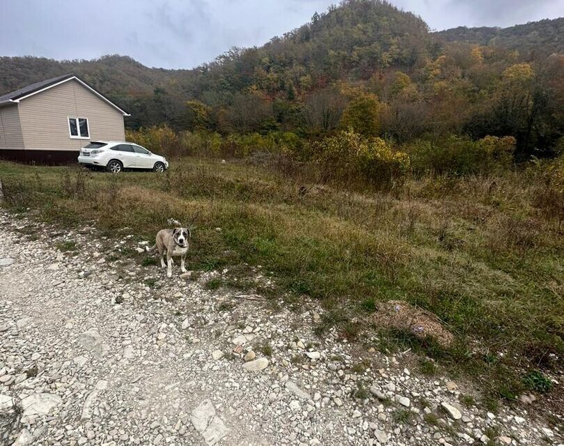 земля р-н Туапсинский с Ольгинка ул Приморская Новомихайловское городское поселение фото 3