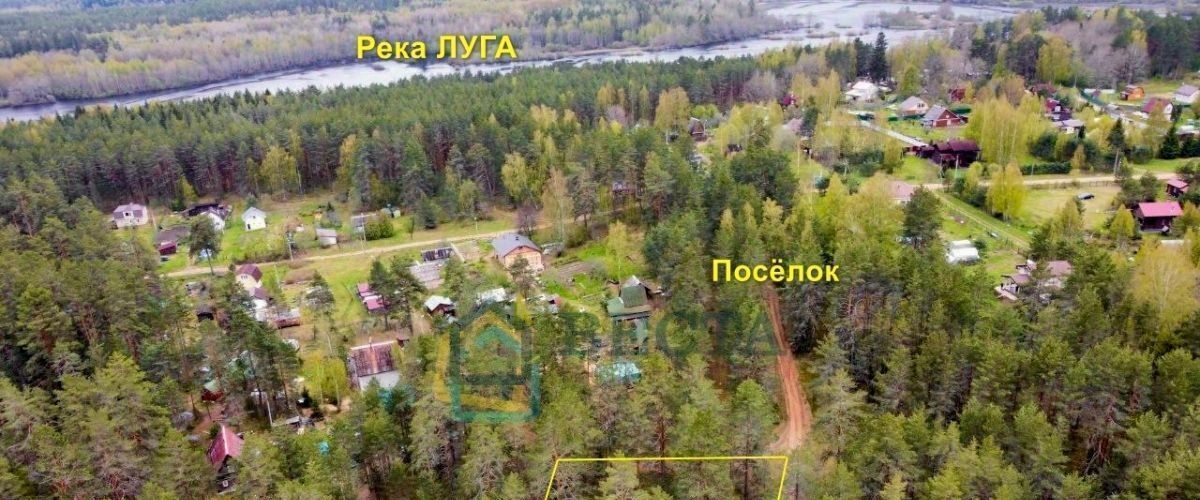 земля р-н Лужский п Плоское Толмачевское городское поселение фото 4